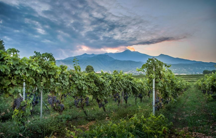 Mt Etna Wine Tour